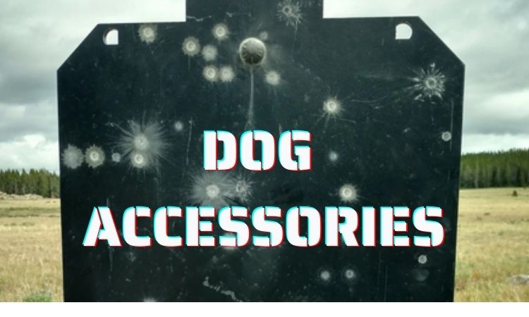 Dog Accessories