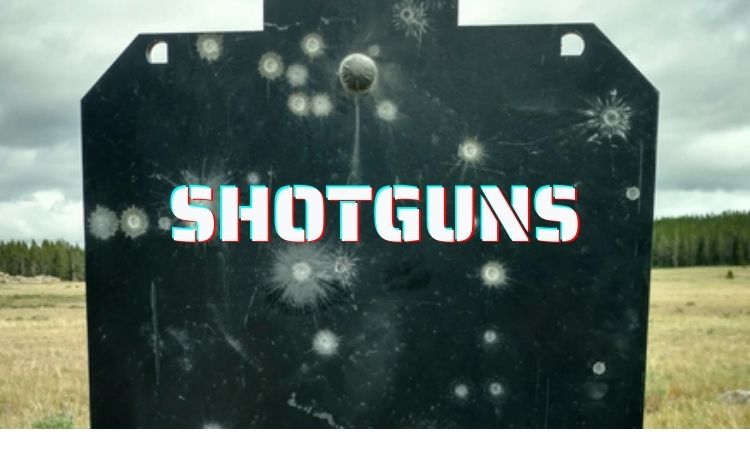 Shotguns