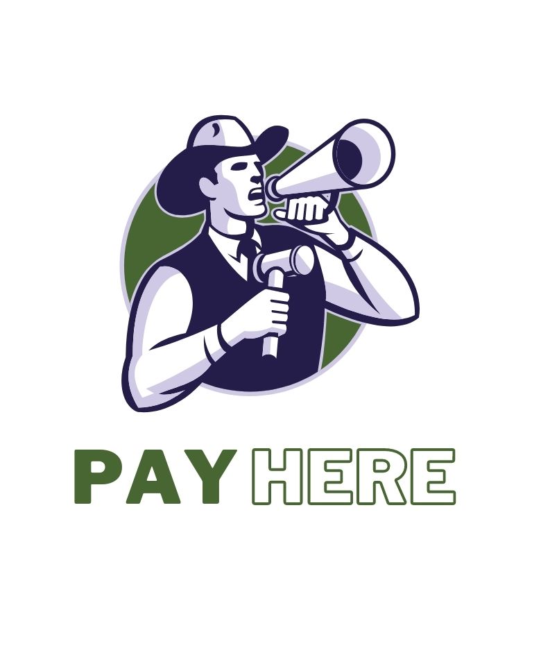 Live Auction Payments